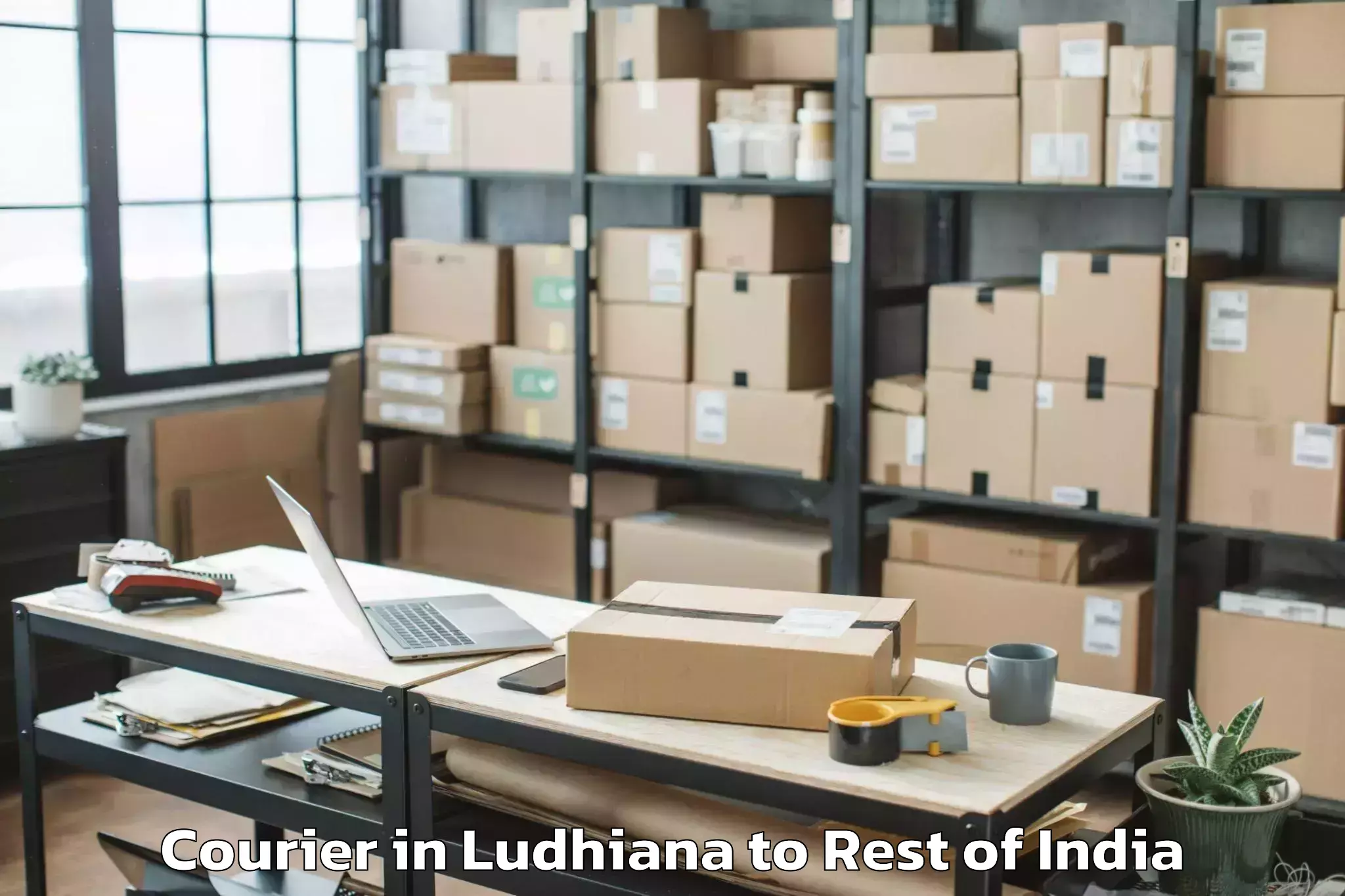 Get Ludhiana to Chadoora Courier